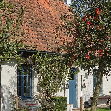 Boutique Droomkerke Bed & Breakfast Ruiselede