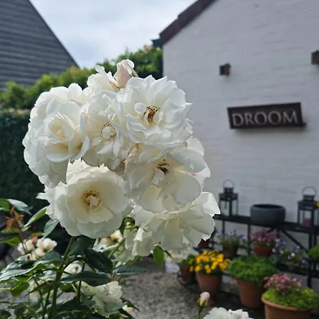 Boutique Droomkerke Bed & Breakfast